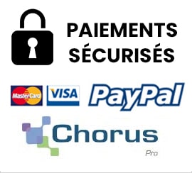 Paiements sécurisés par PayPal, CB, chèque...